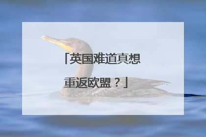 英国难道真想重返欧盟？