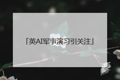 英AI军事演习引关注