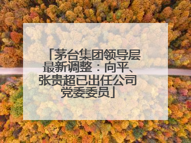 茅台集团领导层最新调整：向平、张贵超已出任公司党委委员
