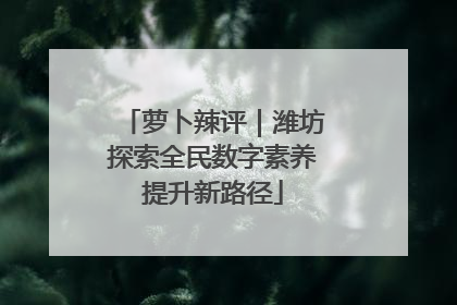 萝卜辣评｜潍坊探索全民数字素养提升新路径