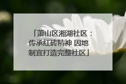 萧山区湘湖社区：传承红砖精神 因地制宜打造完整社区