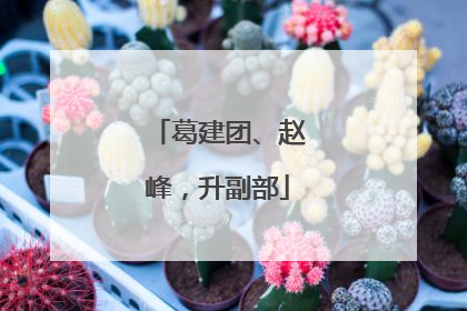 葛建团、赵峰，升副部