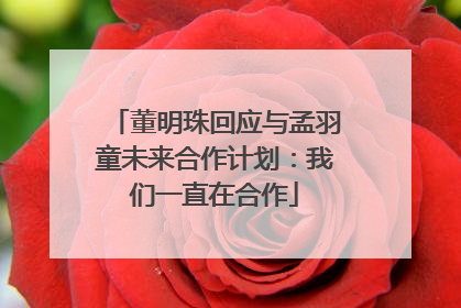 董明珠回应与孟羽童未来合作计划：我们一直在合作