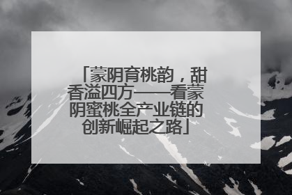 蒙阴育桃韵，甜香溢四方——看蒙阴蜜桃全产业链的创新崛起之路