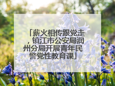 薪火相传跟党走，镇江市公安局润州分局开展青年民警党性教育课