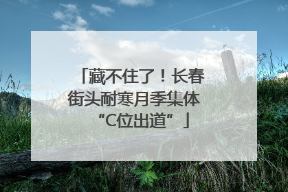 藏不住了！长春街头耐寒月季集体“C位出道”