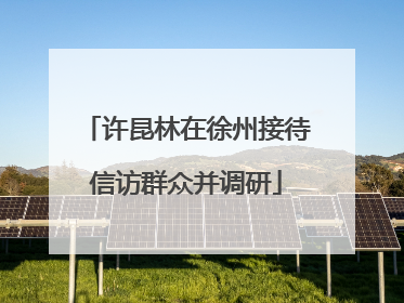许昆林在徐州接待信访群众并调研