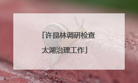 许昆林调研检查太湖治理工作