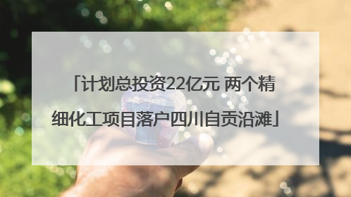 计划总投资22亿元 两个精细化工项目落户四川自贡沿滩