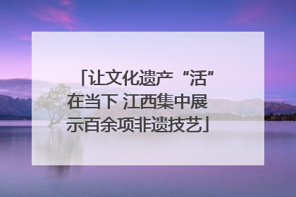 让文化遗产“活”在当下 江西集中展示百余项非遗技艺