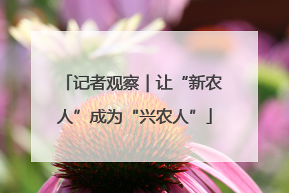 记者观察｜让“新农人”成为“兴农人”