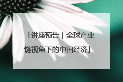 讲座预告｜全球产业链视角下的中国经济