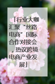 行业大咖汇聚“丝路电商”国际合作对接会，热议跨境电商产业发展