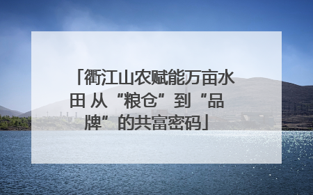 衢江山农赋能万亩水田 从“粮仓”到“品牌”的共富密码