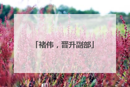 褚伟，晋升副部