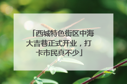 西城特色街区中海大吉巷正式开业，打卡市民真不少