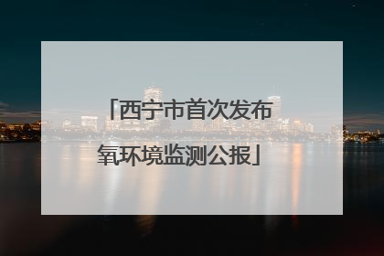 西宁市首次发布氧环境监测公报