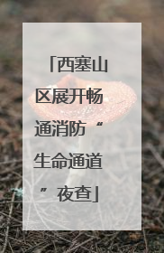 西塞山区展开畅通消防“生命通道”夜查
