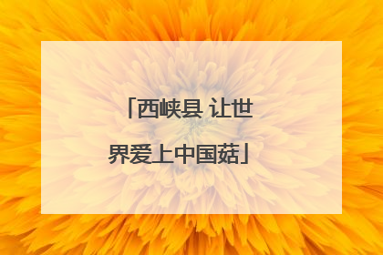 西峡县 让世界爱上中国菇