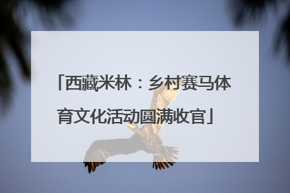 西藏米林：乡村赛马体育文化活动圆满收官