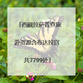 西藏拉萨普查旅游资源含布达拉宫共7799处