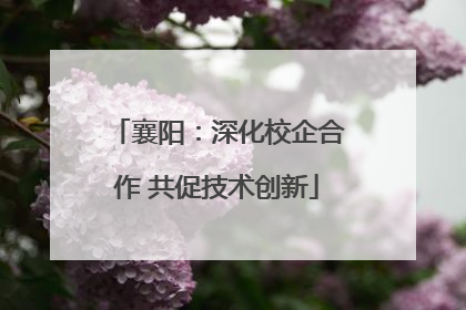 襄阳：深化校企合作 共促技术创新