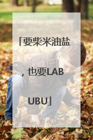 要柴米油盐，也要LABUBU