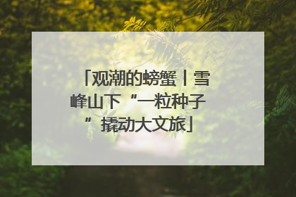 观潮的螃蟹丨雪峰山下“一粒种子”撬动大文旅