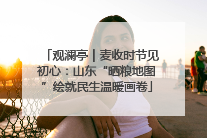 观澜亭｜麦收时节见初心：山东“晒粮地图”绘就民生温暖画卷
