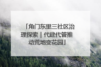 角门东里三社区治理探索｜代建代管推动荒地变花园