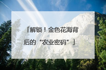 解锁！金色花海背后的“农业密码”