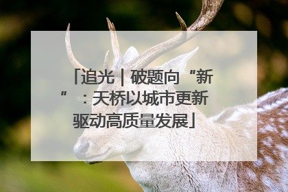追光｜破题向“新”：天桥以城市更新驱动高质量发展