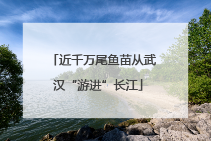 近千万尾鱼苗从武汉“游进”长江