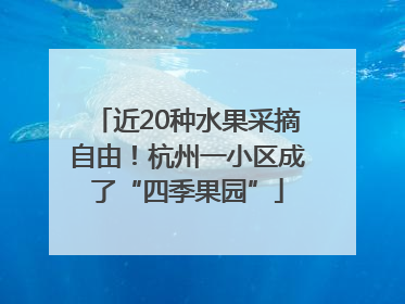 近20种水果采摘自由！杭州一小区成了“四季果园”