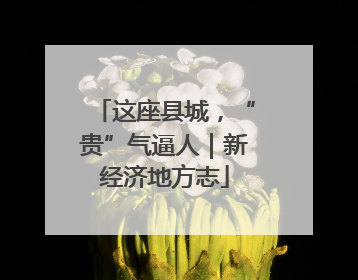 这座县城，“贵”气逼人｜新经济地方志
