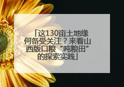 这130亩土地缘何备受关注？来看山西版口粮“吨粮田”的探索实践