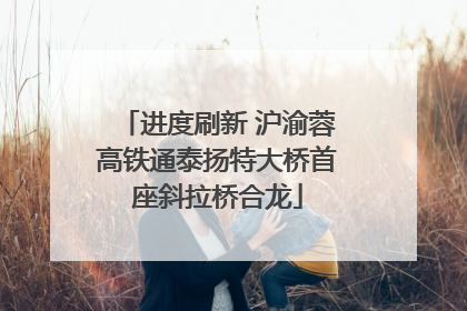 进度刷新 沪渝蓉高铁通泰扬特大桥首座斜拉桥合龙