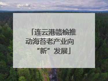 连云港赣榆推动海苔老产业向“新”发展