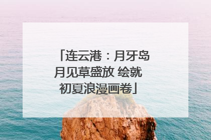 连云港：月牙岛月见草盛放 绘就初夏浪漫画卷