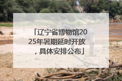 辽宁省博物馆2025年暑期延时开放，具体安排公布