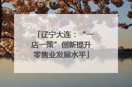 辽宁大连：“一店一策”创新提升零售业发展水平