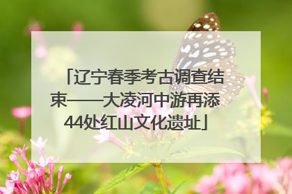 辽宁春季考古调查结束——大凌河中游再添44处红山文化遗址