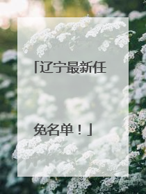 辽宁最新任免名单！