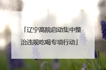 辽宁高院启动集中整治违规吃喝专项行动