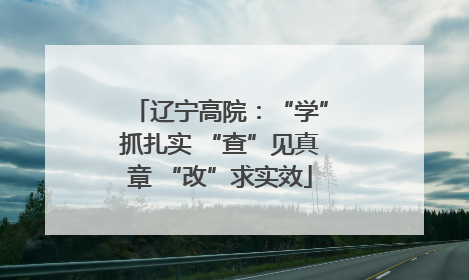 辽宁高院：“学”抓扎实 “查”见真章 “改”求实效