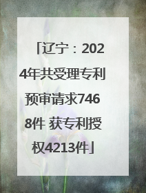 辽宁：2024年共受理专利预审请求7468件 获专利授权4213件