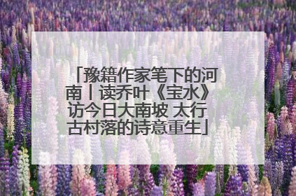 豫籍作家笔下的河南丨读乔叶《宝水》访今日大南坡 太行古村落的诗意重生