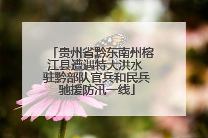 贵州省黔东南州榕江县遭遇特大洪水 驻黔部队官兵和民兵驰援防汛一线