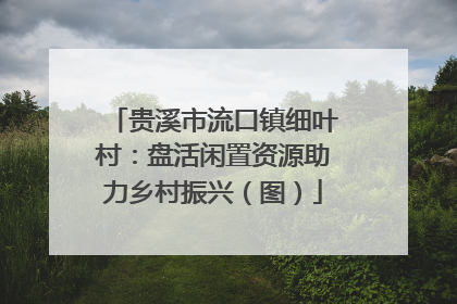 贵溪市流口镇细叶村：盘活闲置资源助力乡村振兴（图）