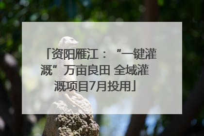 资阳雁江：“一键灌溉”万亩良田 全域灌溉项目7月投用